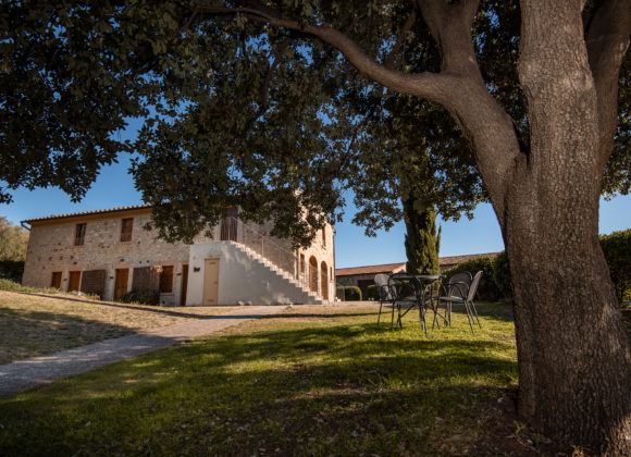 Agriturismo Con Piscina Il Falcone Sulle Dolci Colline Di