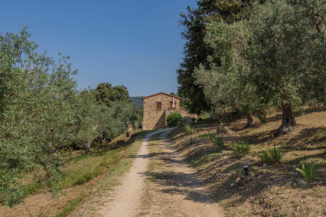 Agriturismo Con Piscina Il Falcone Sulle Dolci Colline Di