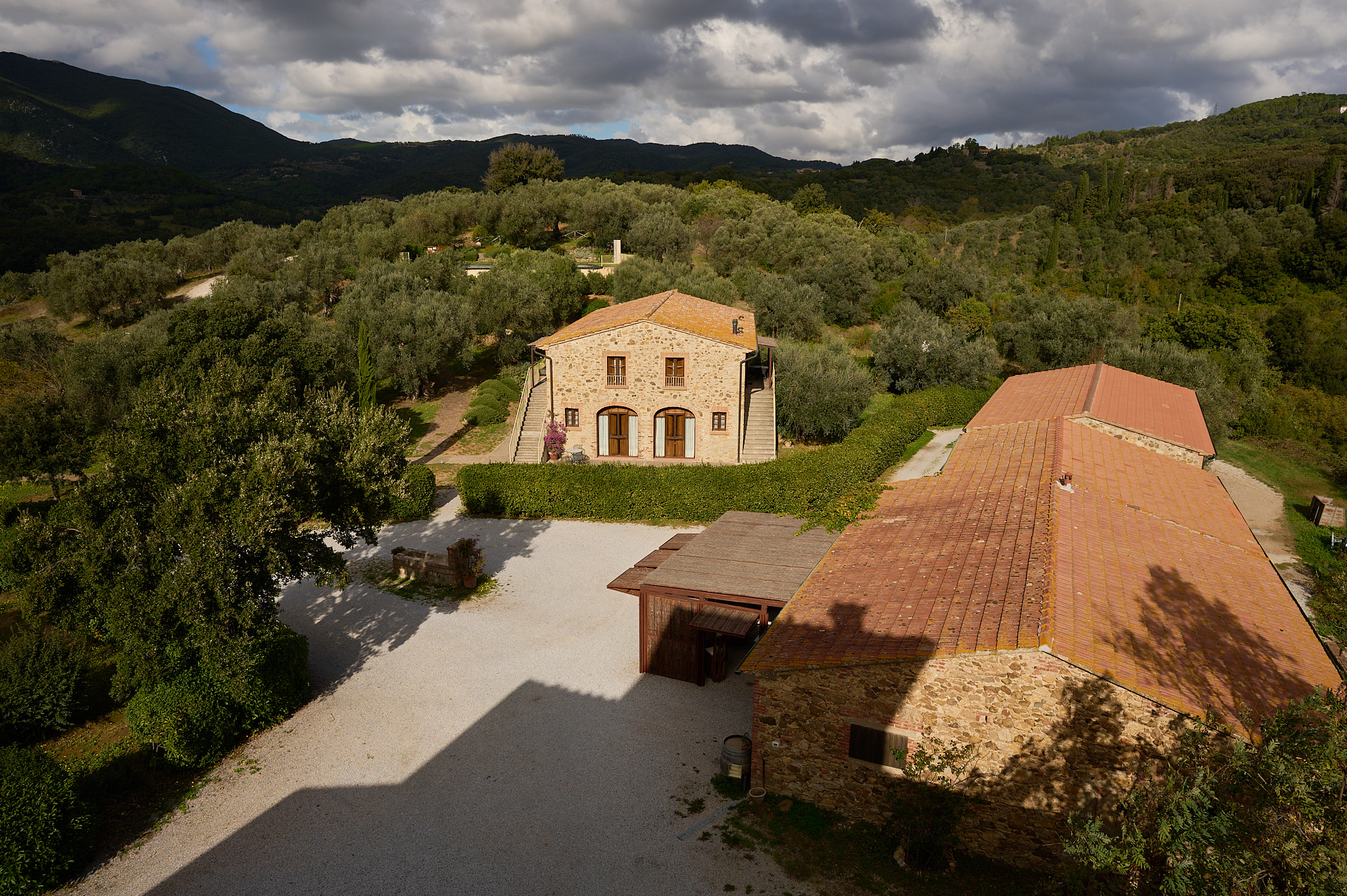 Historic cellar of the Il Falcone farm
