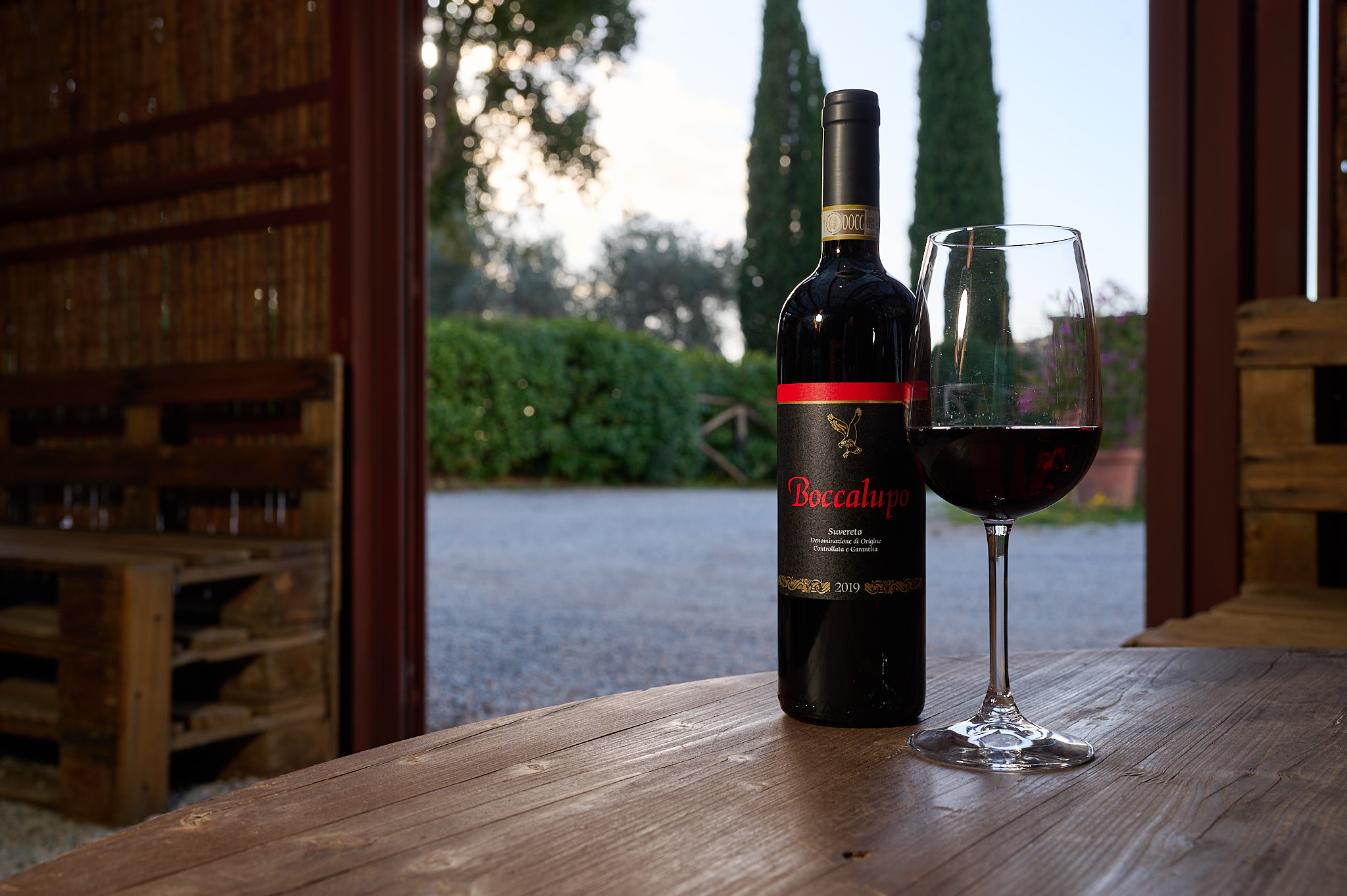 Wine tasting in Il Falcone's cellar, Suvereto