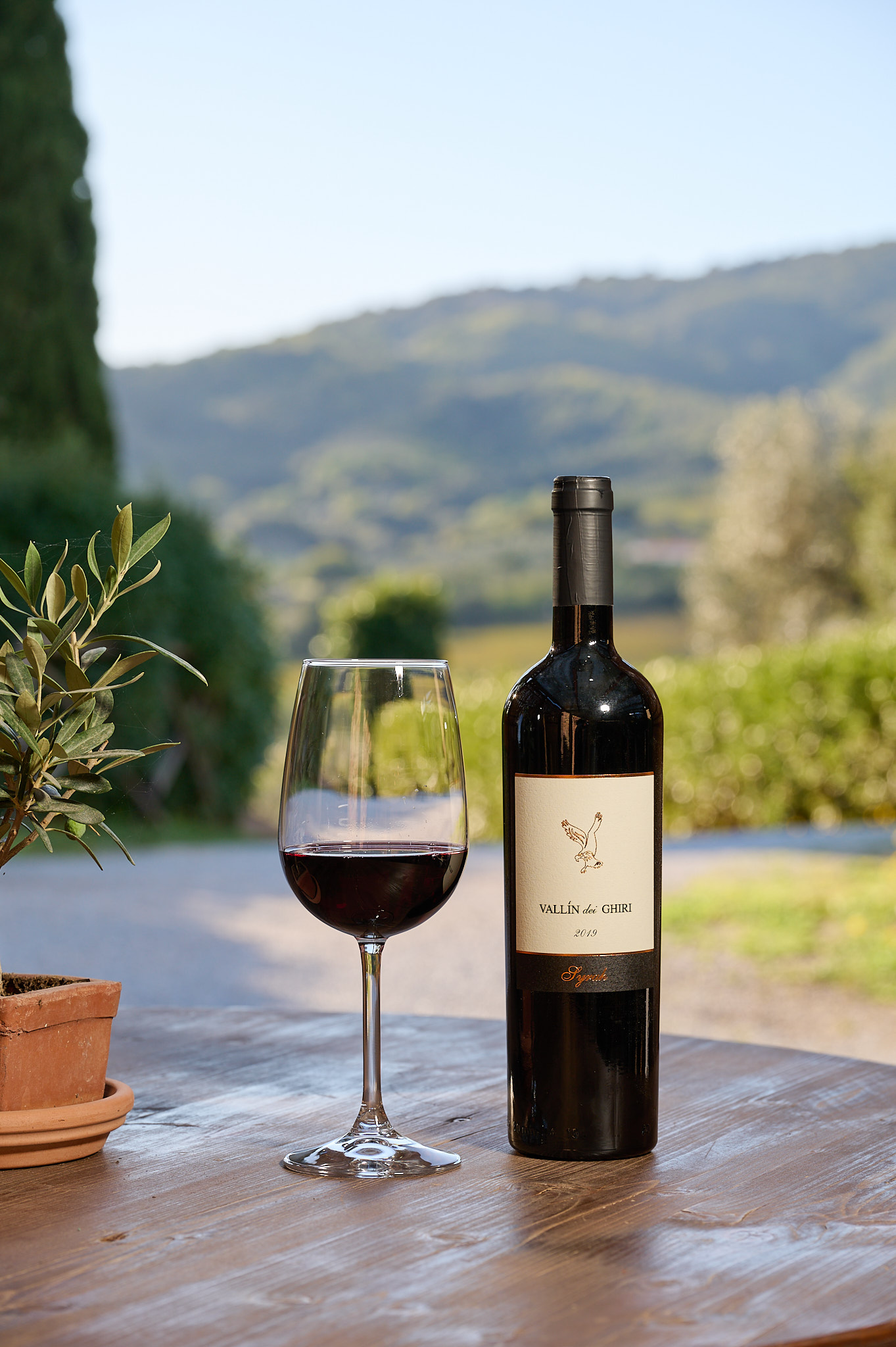 View of the Il Falcone estate, Tuscany