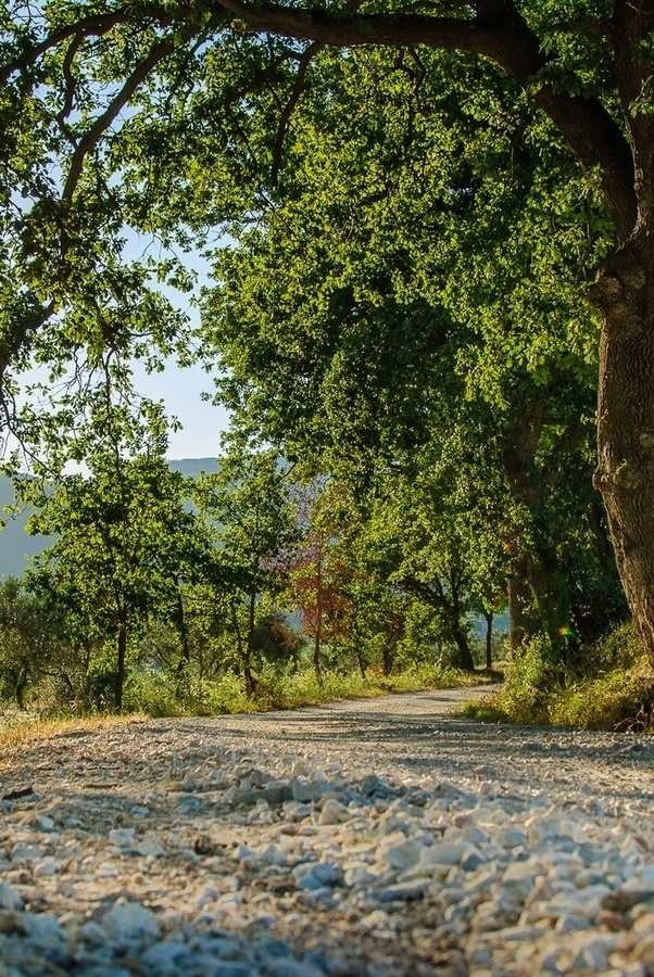 Attività all'aria aperta vicino all'agriturismo Il Falcone a Suvereto
