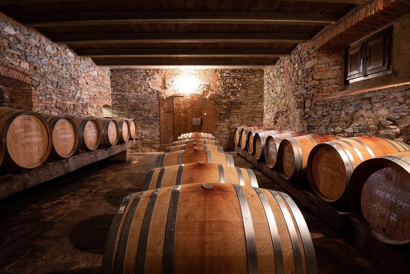 Wine barrels in the Il Falcone cellar, Suvereto