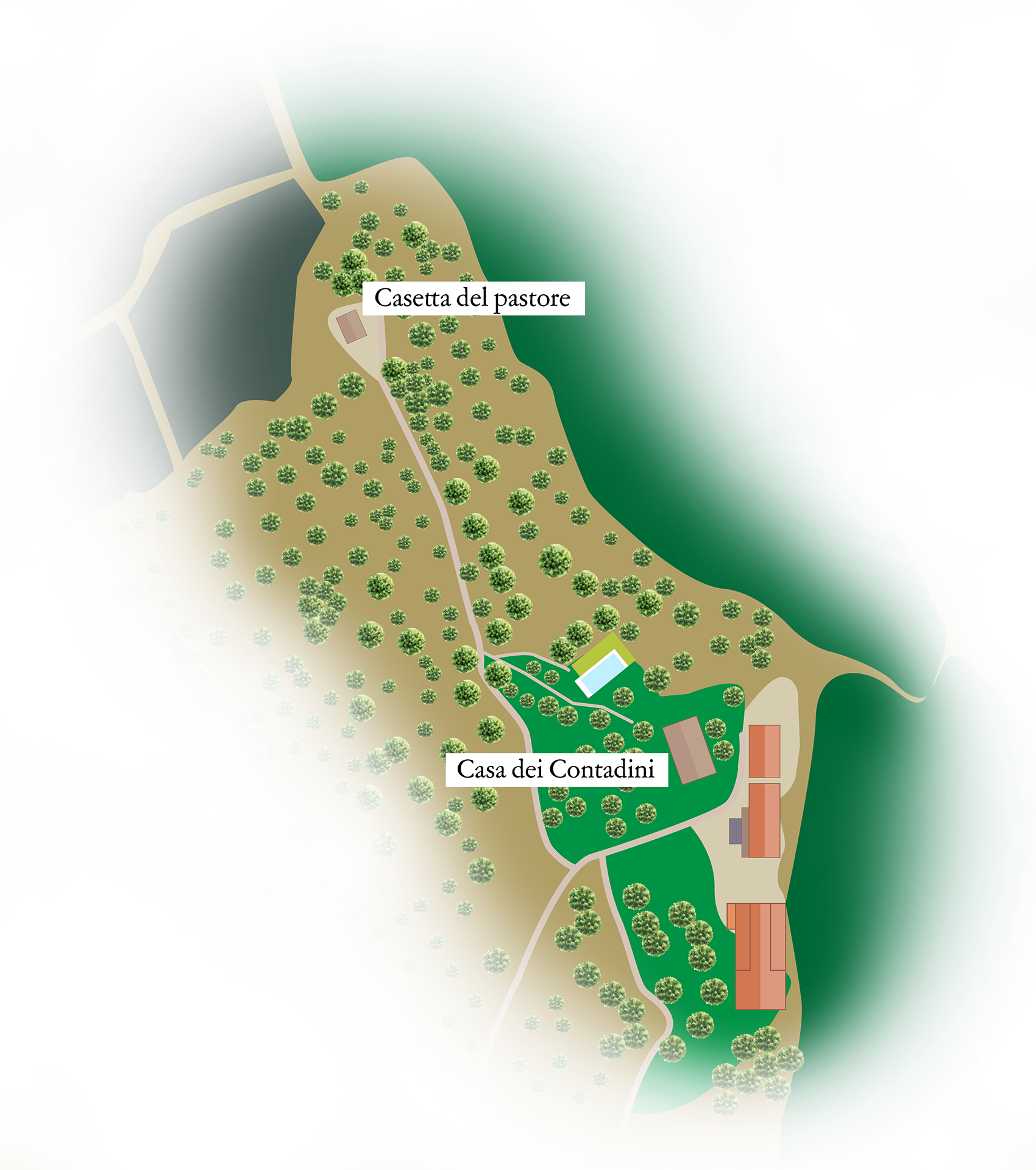 Map of the Il Falcone cottages, Suvereto