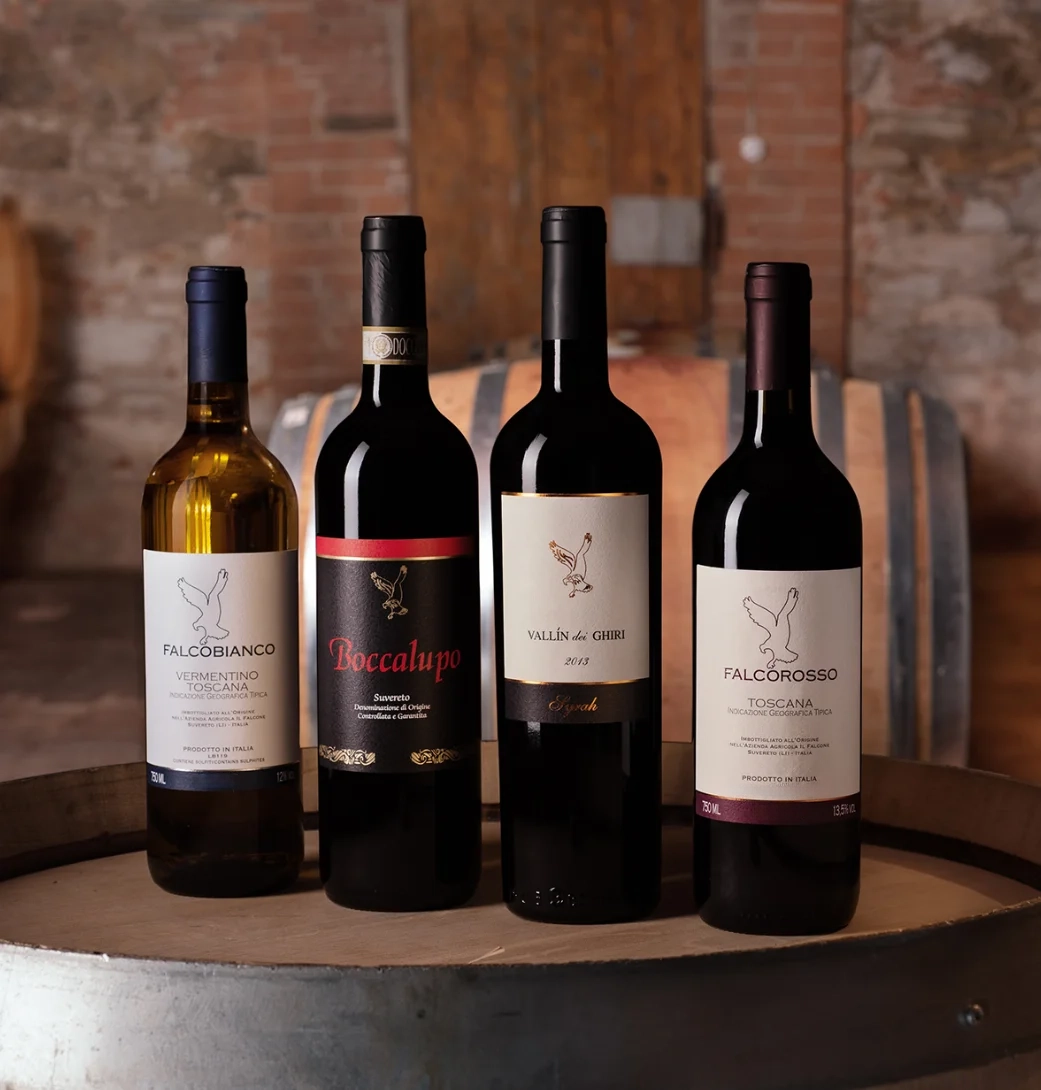 Wine tasting at Il Falcone, Suvereto